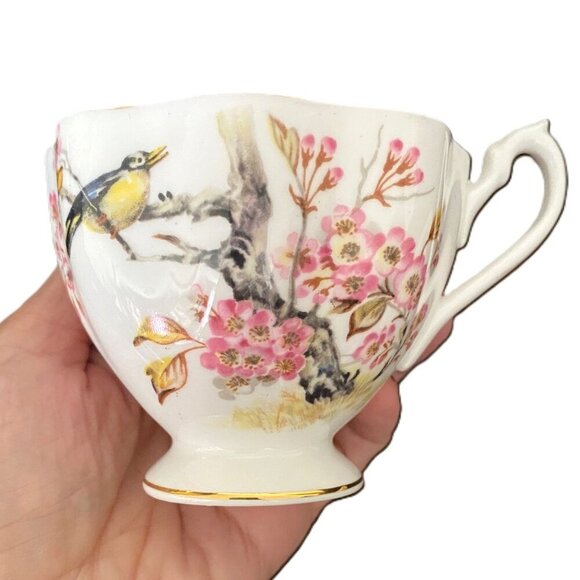 Vintage Queen Anne Bird in Cherry Blossom Tree Fine Bone China Cup Saucer Set - Picture 10 of 15